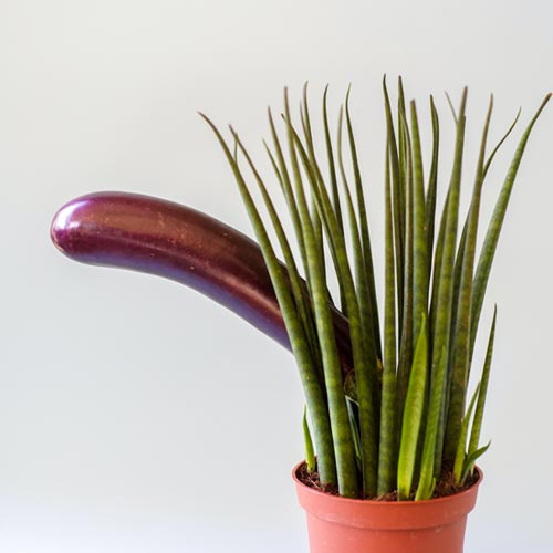 腎虧有救了！幫好友克服「不舉」的困惱經驗分享｜犀利士購買